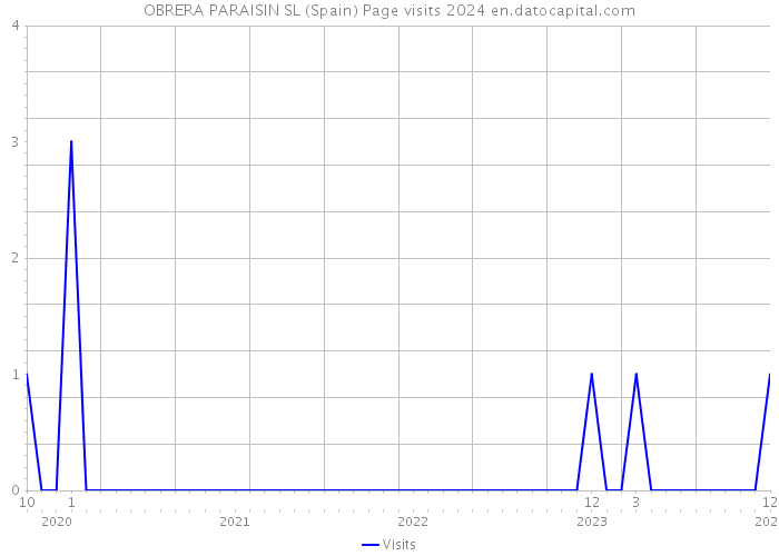 OBRERA PARAISIN SL (Spain) Page visits 2024 