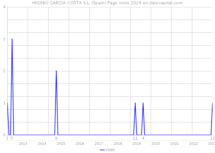 HIGINIO GARCIA COSTA S.L. (Spain) Page visits 2024 