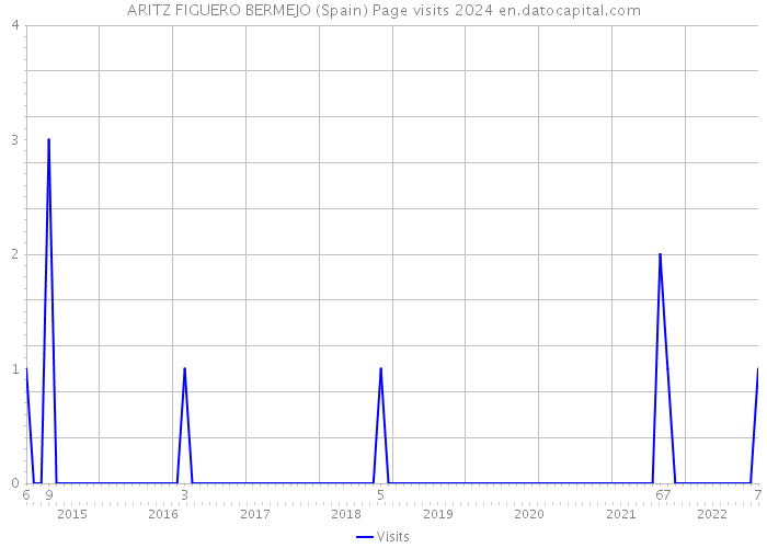 ARITZ FIGUERO BERMEJO (Spain) Page visits 2024 