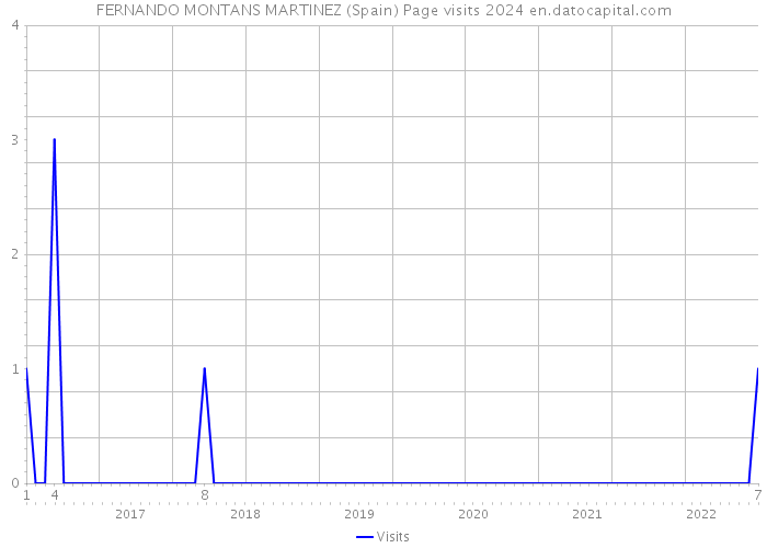 FERNANDO MONTANS MARTINEZ (Spain) Page visits 2024 