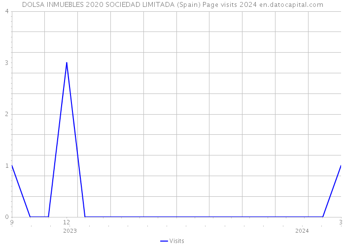 DOLSA INMUEBLES 2020 SOCIEDAD LIMITADA (Spain) Page visits 2024 