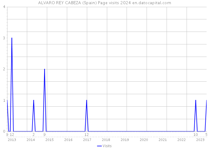 ALVARO REY CABEZA (Spain) Page visits 2024 