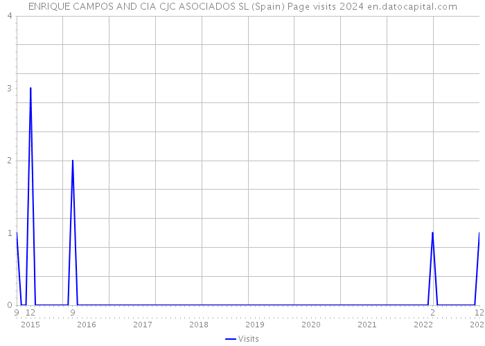 ENRIQUE CAMPOS AND CIA CJC ASOCIADOS SL (Spain) Page visits 2024 