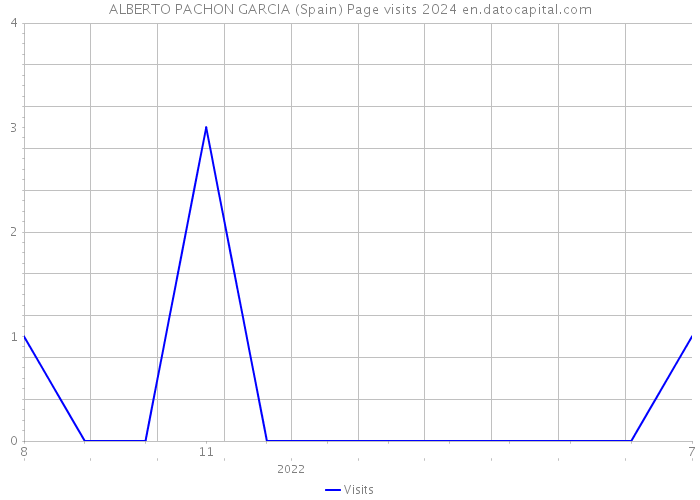 ALBERTO PACHON GARCIA (Spain) Page visits 2024 