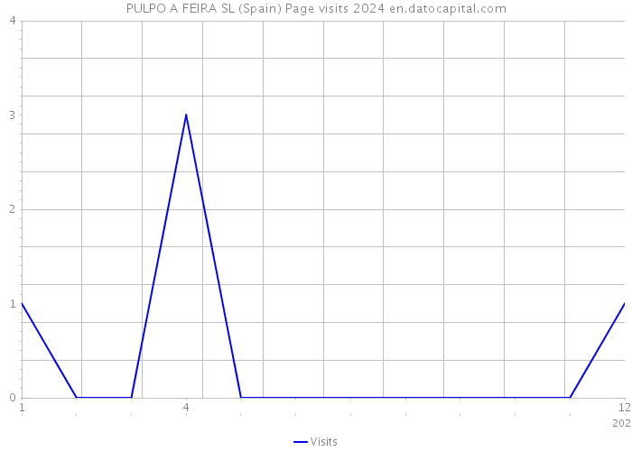 PULPO A FEIRA SL (Spain) Page visits 2024 