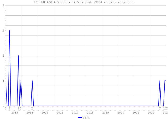 TOP BIDASOA SLP (Spain) Page visits 2024 