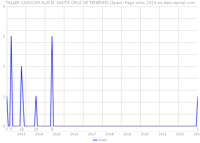TALLER GASOCAR SL(R.M. SANTA CRUZ DE TENERIFE) (Spain) Page visits 2024 