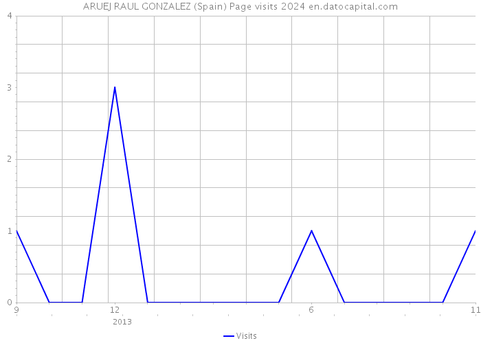 ARUEJ RAUL GONZALEZ (Spain) Page visits 2024 