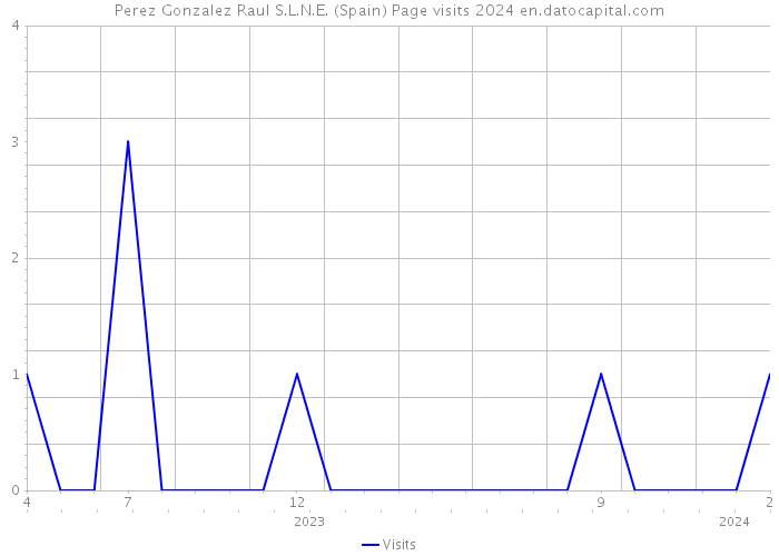 Perez Gonzalez Raul S.L.N.E. (Spain) Page visits 2024 