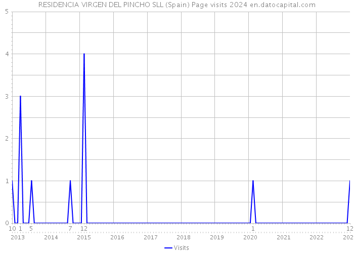 RESIDENCIA VIRGEN DEL PINCHO SLL (Spain) Page visits 2024 