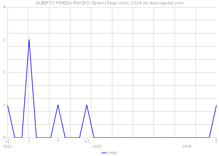 ALBERTO PINEDA MAGRO (Spain) Page visits 2024 