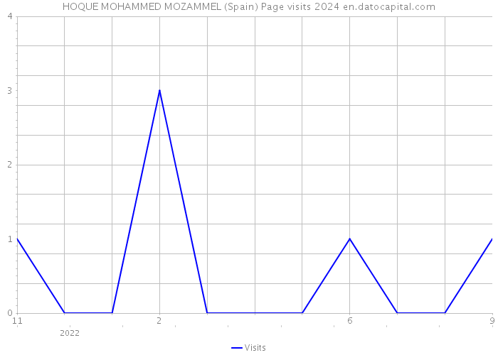 HOQUE MOHAMMED MOZAMMEL (Spain) Page visits 2024 