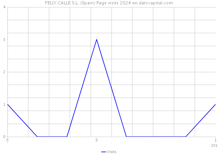 FELIX CALLE S.L. (Spain) Page visits 2024 