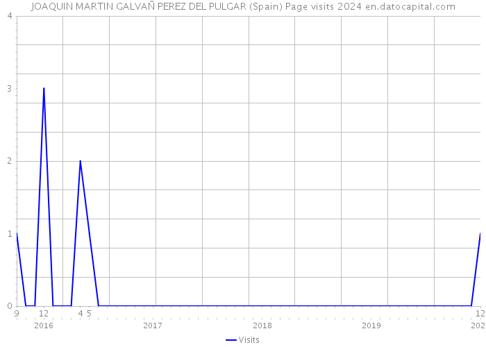 JOAQUIN MARTIN GALVAÑ PEREZ DEL PULGAR (Spain) Page visits 2024 