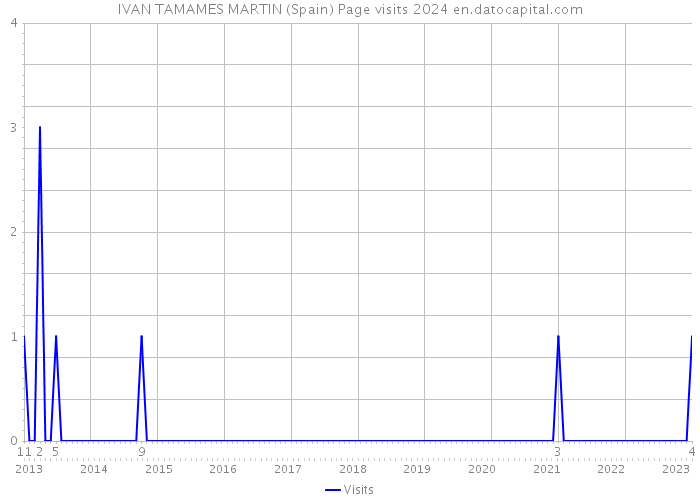 IVAN TAMAMES MARTIN (Spain) Page visits 2024 