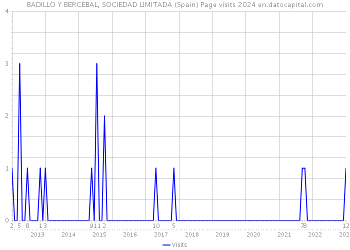 BADILLO Y BERCEBAL, SOCIEDAD LIMITADA (Spain) Page visits 2024 