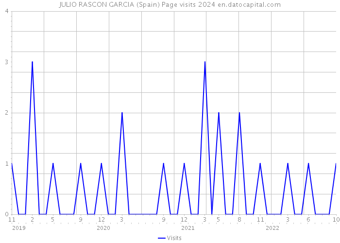 JULIO RASCON GARCIA (Spain) Page visits 2024 