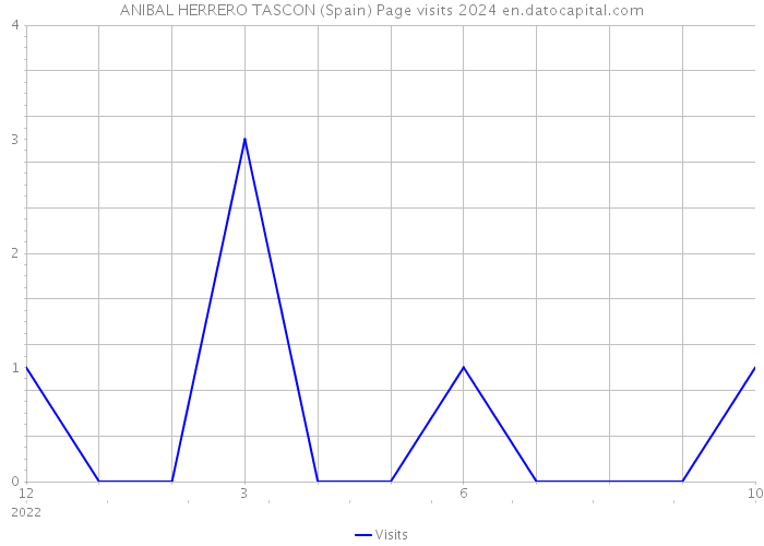 ANIBAL HERRERO TASCON (Spain) Page visits 2024 