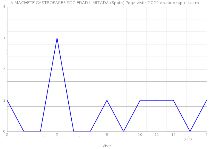 A MACHETE GASTROBARES SOCIEDAD LIMITADA (Spain) Page visits 2024 