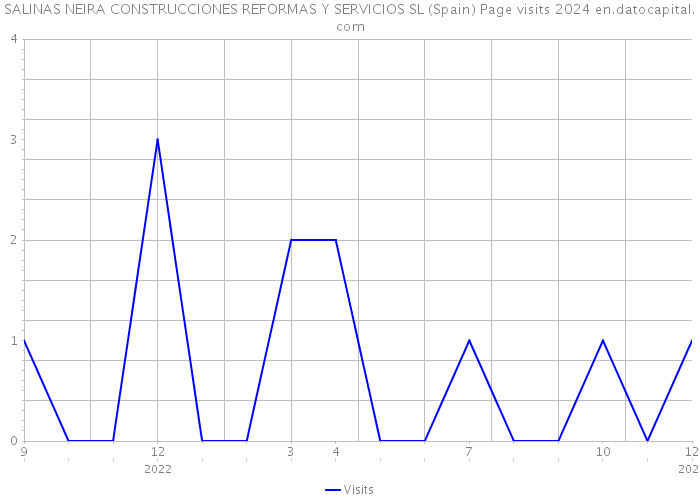 SALINAS NEIRA CONSTRUCCIONES REFORMAS Y SERVICIOS SL (Spain) Page visits 2024 