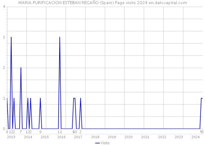 MARIA PURIFICACION ESTEBAN REGAÑO (Spain) Page visits 2024 