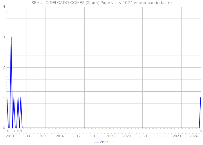 BRAULIO DELGADO GOMEZ (Spain) Page visits 2024 