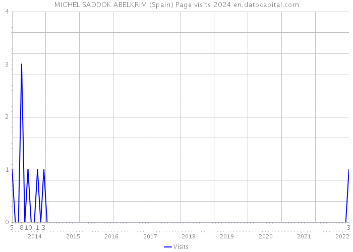 MICHEL SADDOK ABELKRIM (Spain) Page visits 2024 