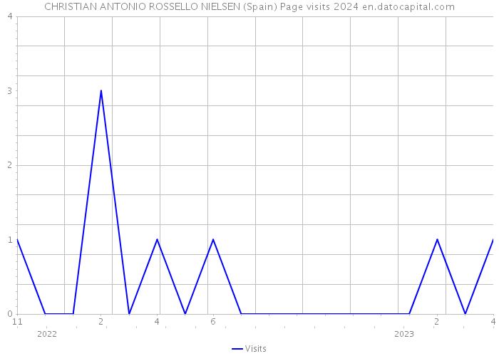 CHRISTIAN ANTONIO ROSSELLO NIELSEN (Spain) Page visits 2024 