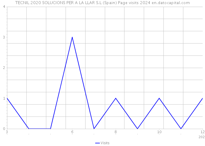 TECNIL 2020 SOLUCIONS PER A LA LLAR S.L (Spain) Page visits 2024 