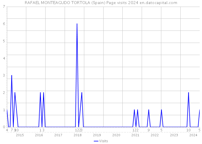 RAFAEL MONTEAGUDO TORTOLA (Spain) Page visits 2024 