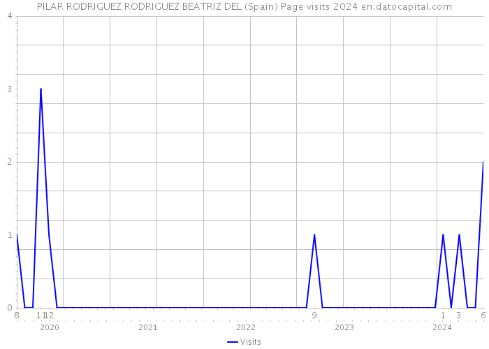 PILAR RODRIGUEZ RODRIGUEZ BEATRIZ DEL (Spain) Page visits 2024 