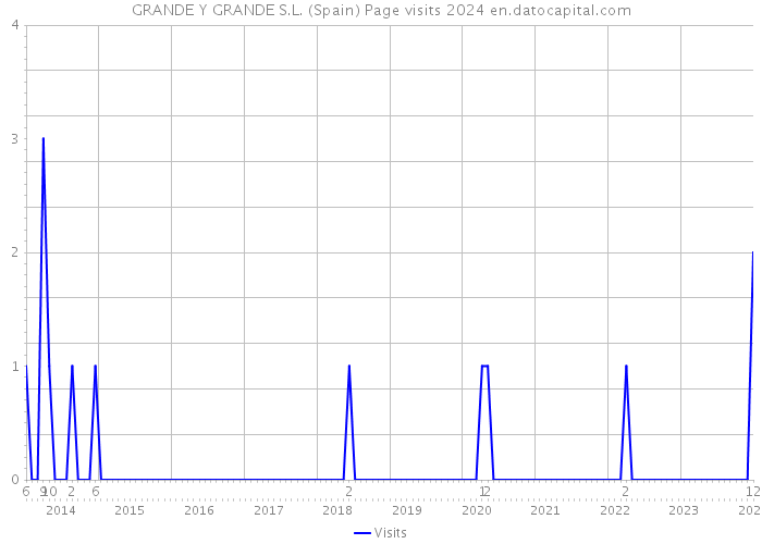 GRANDE Y GRANDE S.L. (Spain) Page visits 2024 