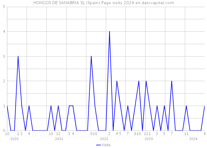 HONGOS DE SANABRIA SL (Spain) Page visits 2024 