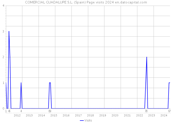 COMERCIAL GUADALUPE S.L. (Spain) Page visits 2024 