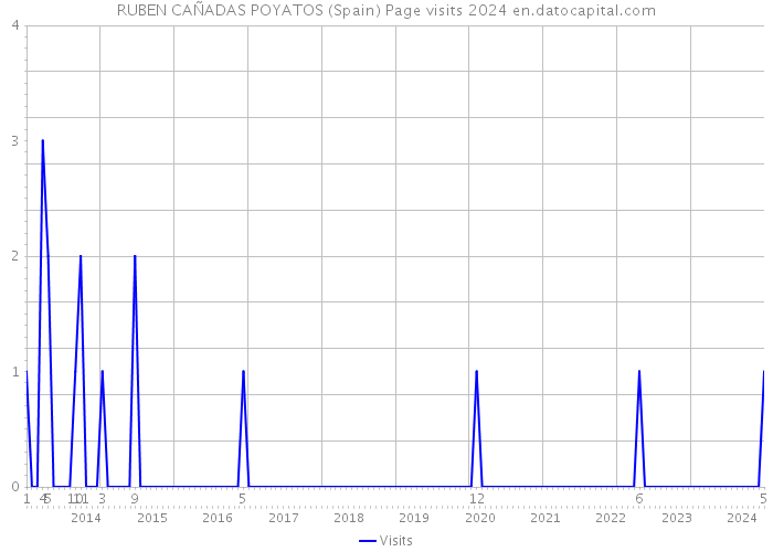 RUBEN CAÑADAS POYATOS (Spain) Page visits 2024 