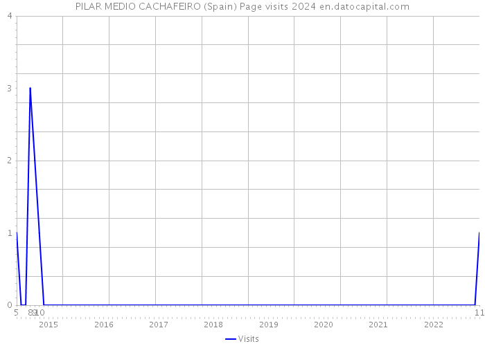 PILAR MEDIO CACHAFEIRO (Spain) Page visits 2024 
