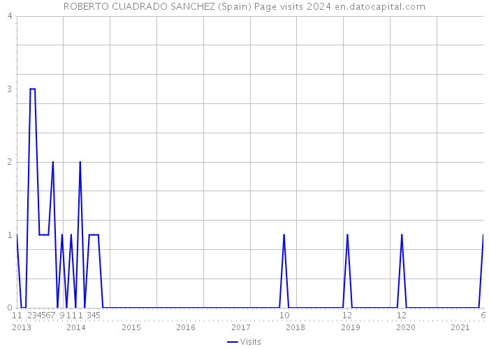 ROBERTO CUADRADO SANCHEZ (Spain) Page visits 2024 