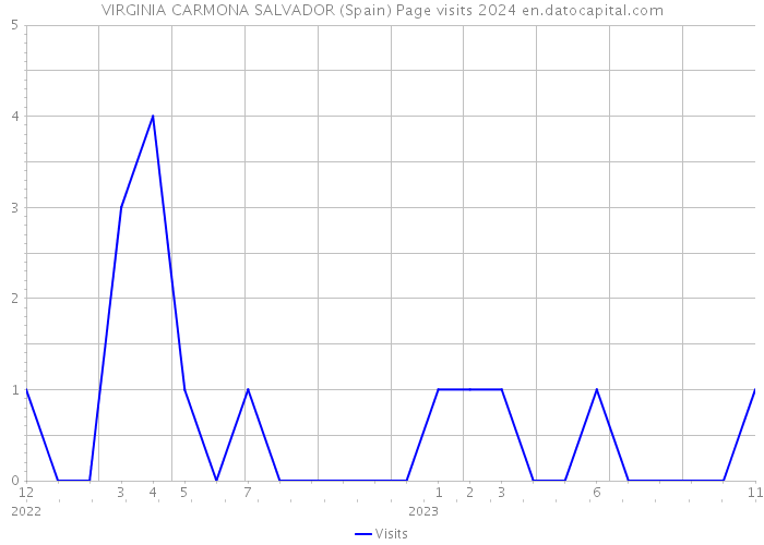 VIRGINIA CARMONA SALVADOR (Spain) Page visits 2024 