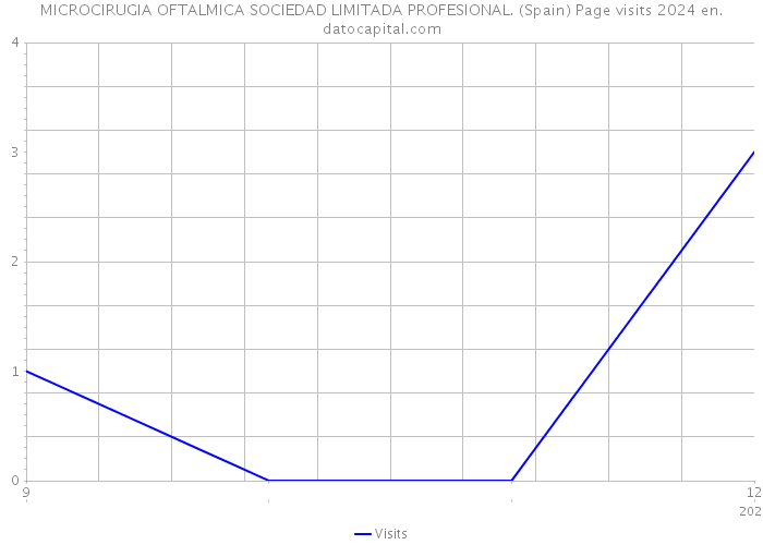 MICROCIRUGIA OFTALMICA SOCIEDAD LIMITADA PROFESIONAL. (Spain) Page visits 2024 