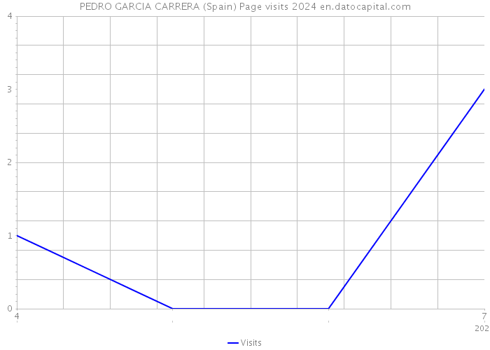 PEDRO GARCIA CARRERA (Spain) Page visits 2024 