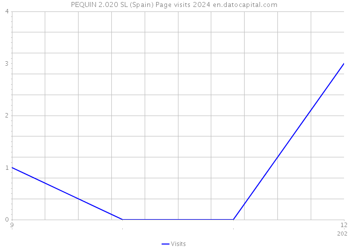 PEQUIN 2.020 SL (Spain) Page visits 2024 