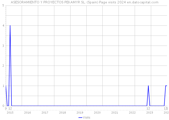 ASESORAMIENTO Y PROYECTOS PEKAMYR SL. (Spain) Page visits 2024 
