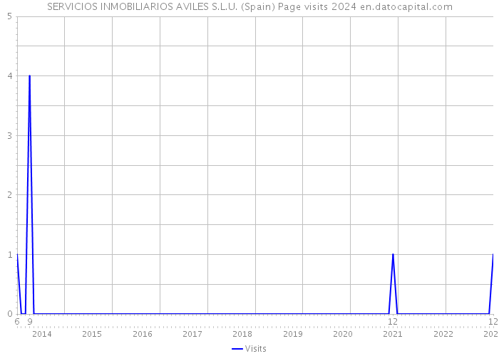 SERVICIOS INMOBILIARIOS AVILES S.L.U. (Spain) Page visits 2024 