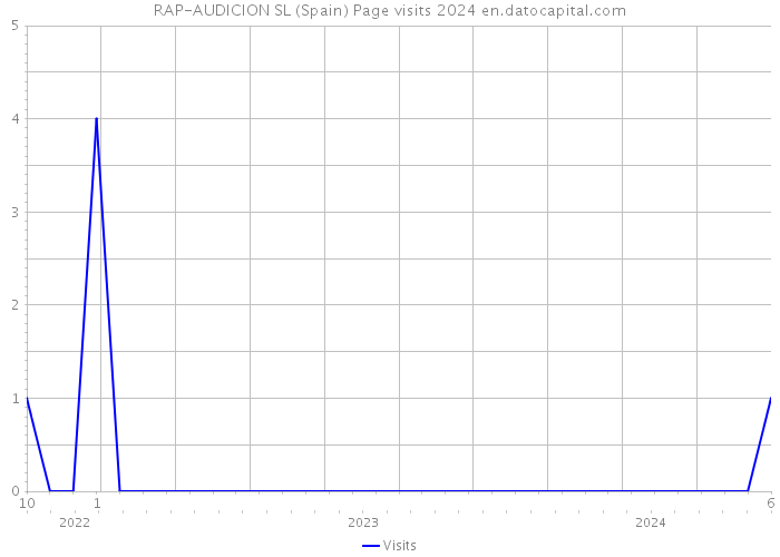 RAP-AUDICION SL (Spain) Page visits 2024 