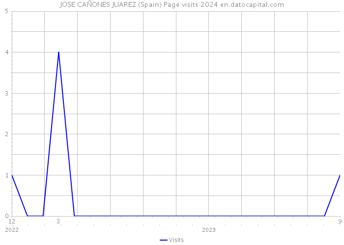 JOSE CAÑONES JUAREZ (Spain) Page visits 2024 