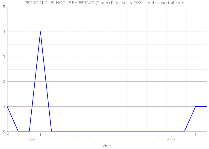 PEDRO MIGUEL NOGUEIRA FERRAZ (Spain) Page visits 2024 