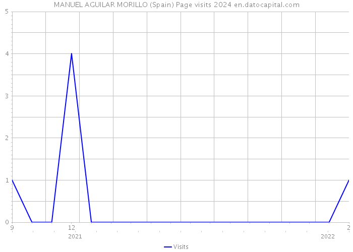 MANUEL AGUILAR MORILLO (Spain) Page visits 2024 