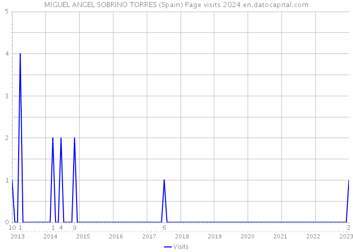 MIGUEL ANGEL SOBRINO TORRES (Spain) Page visits 2024 