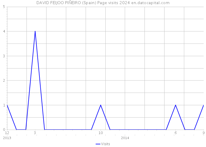 DAVID FEIJOO PIÑEIRO (Spain) Page visits 2024 