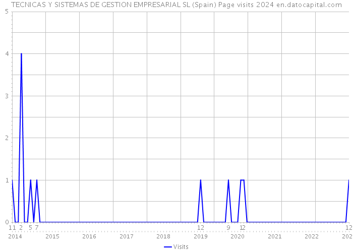 TECNICAS Y SISTEMAS DE GESTION EMPRESARIAL SL (Spain) Page visits 2024 